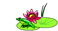 www.praisepepe.com